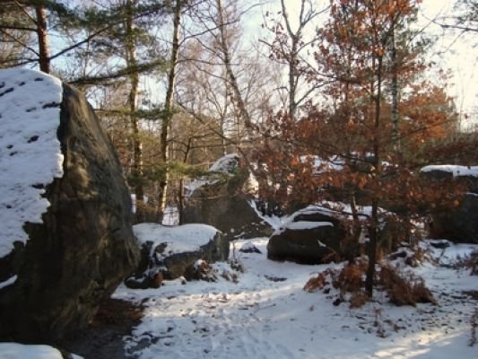 Fontainebleau