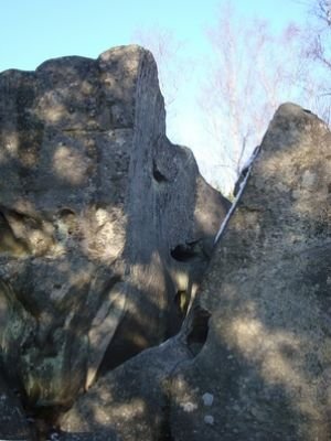 Fontainebleau