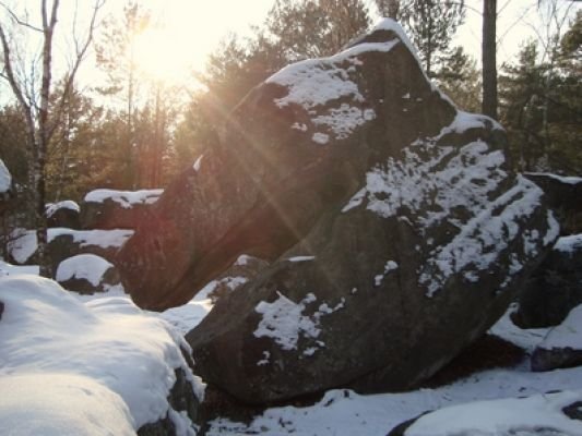 Fontainebleau