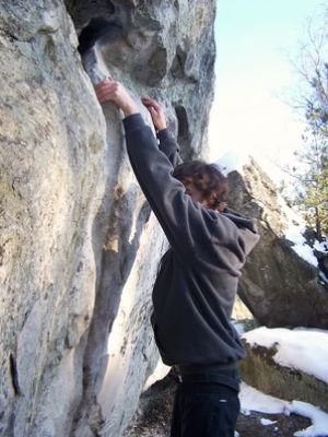 Fontainebleau