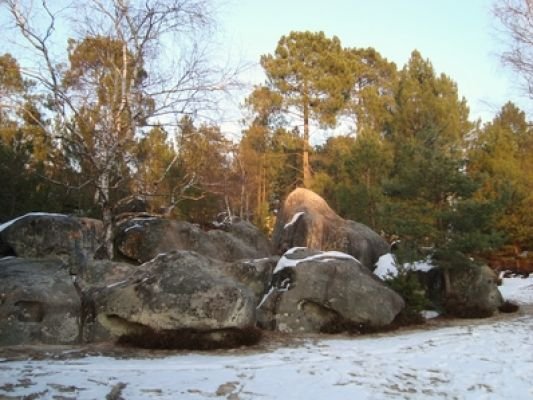 Fontainebleau
